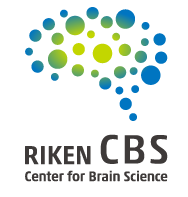 RIKEN CBS logo